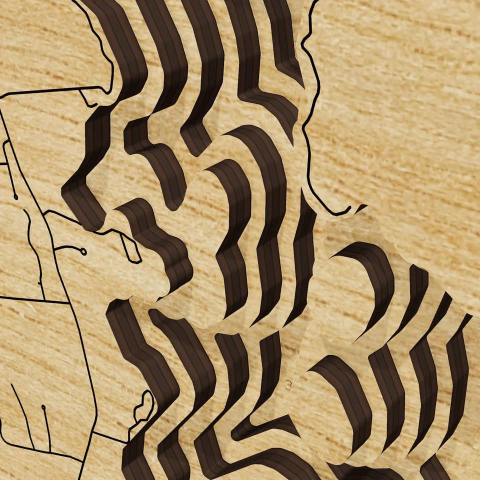 Pushaw Lake 3D wood map, detail view