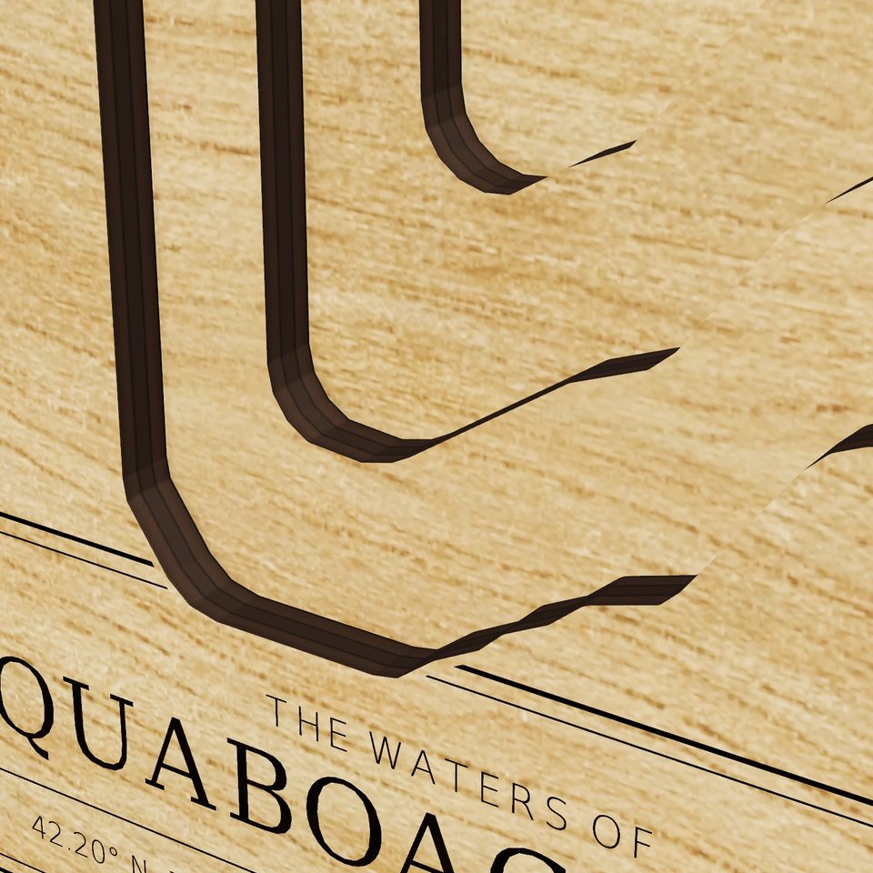 Quaboag Pond 3D wood map, detail view