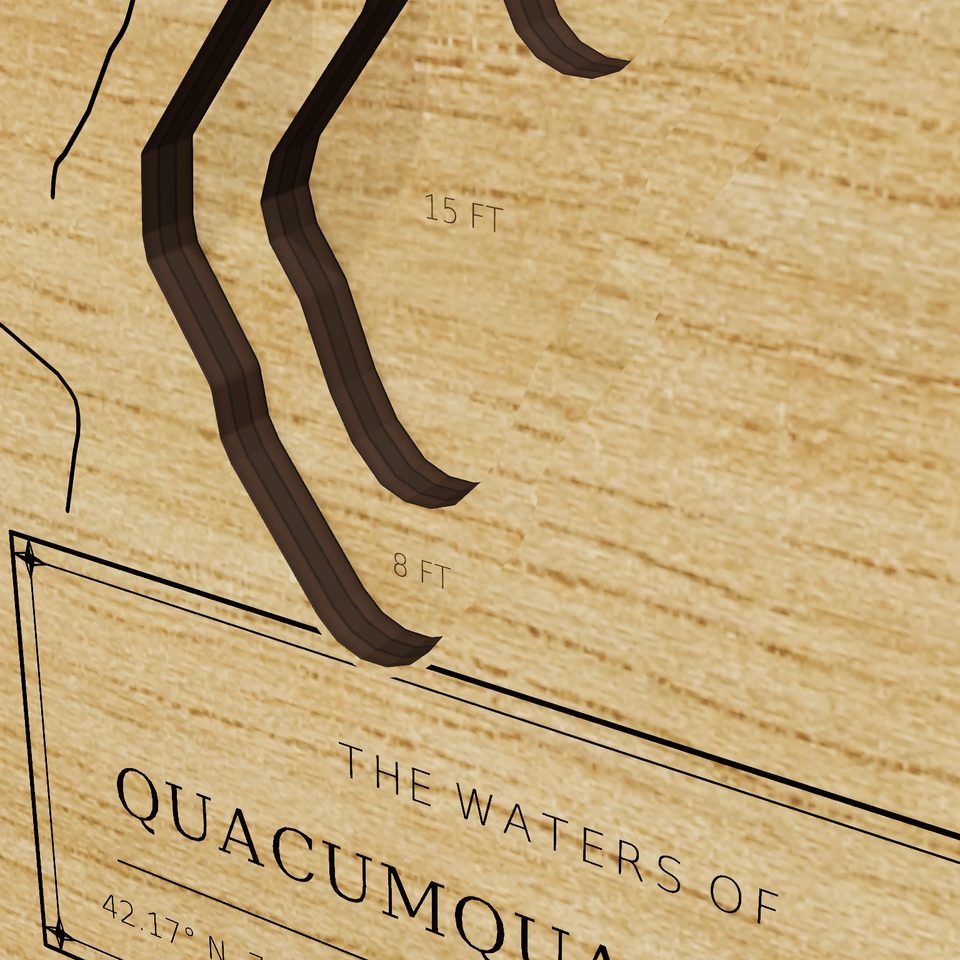 Quacumquasit Pond 3D wood map, detail view