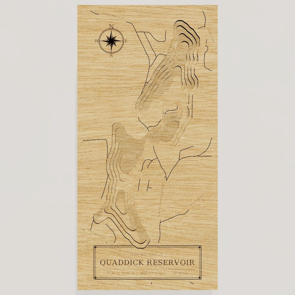 Quaddick Reservoir 3D wood map, front view