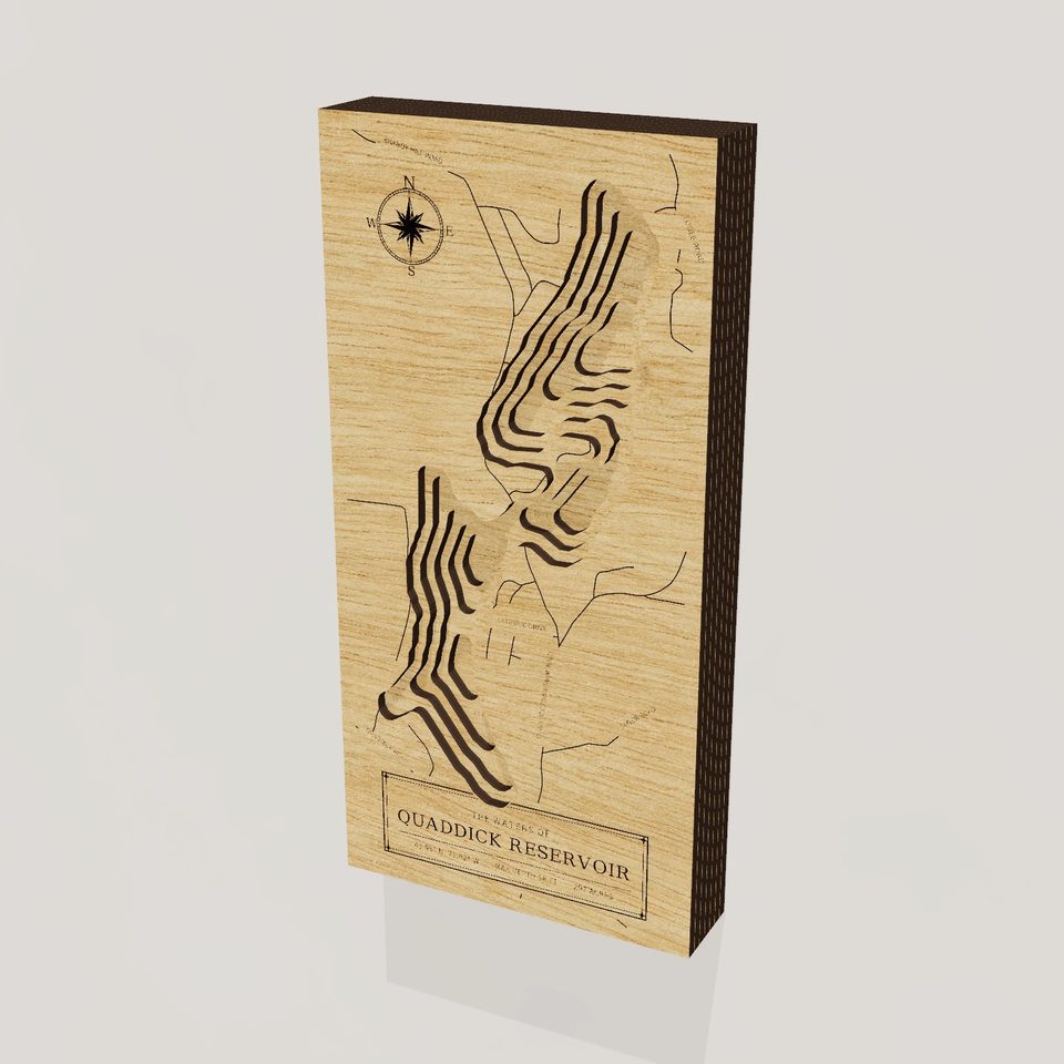 Quaddick Reservoir 3D wood map, hero view
