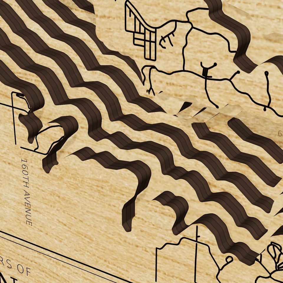 Rathbun Lake 3D wood map, detail view