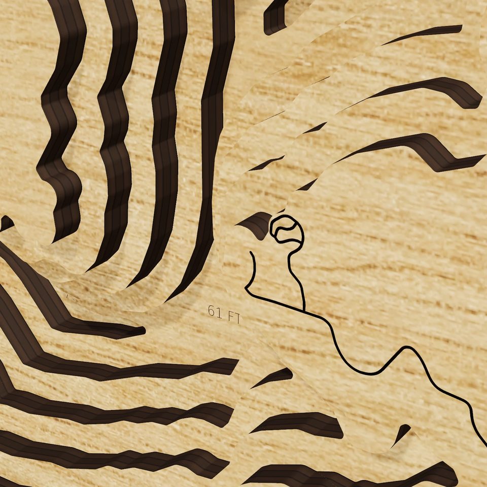 Ray Roberts Lake 3D wood map, detail view