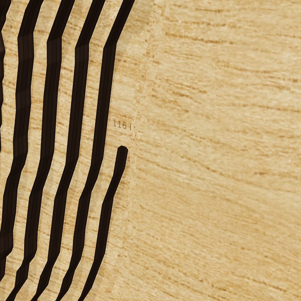 Redfish Lake 3D wood map, detail view