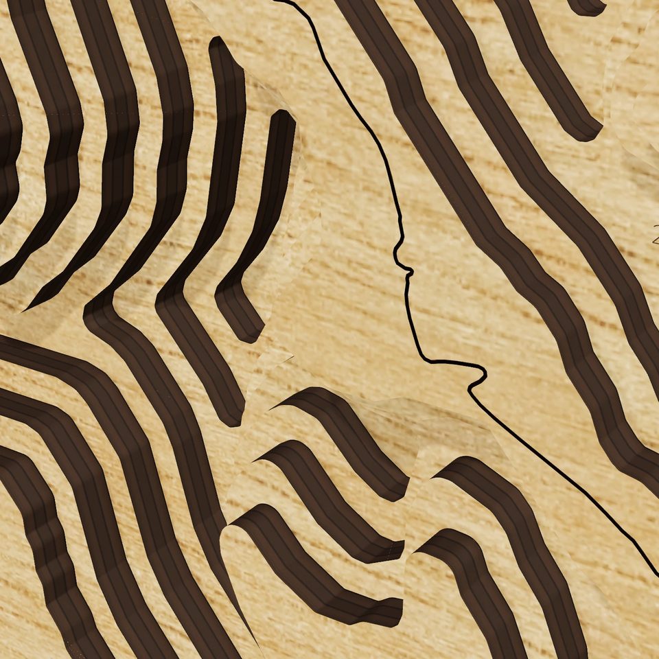 Reregulation Reservoir 3D wood map, detail view