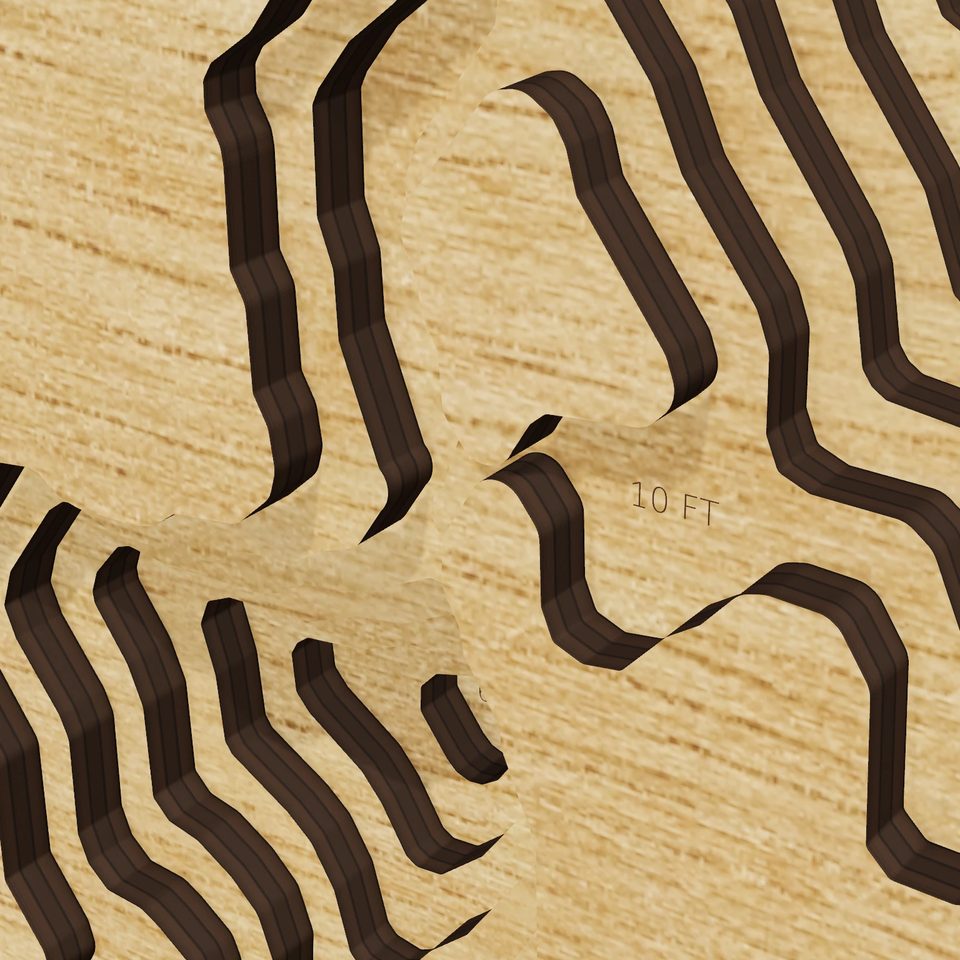 Rice Lake 3D wood map, detail view