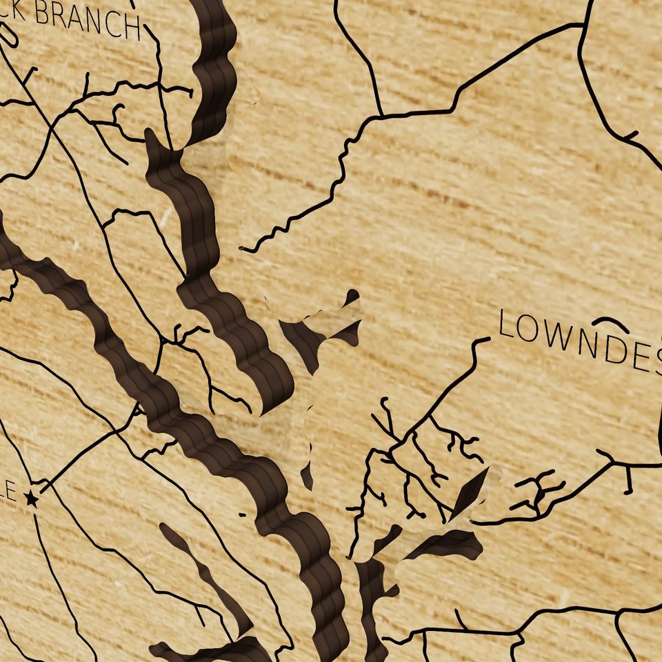 Richard B. Russell Lake 3D wood map, detail view