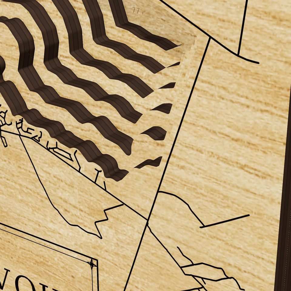 Richland-Chambers Reservoir 3D wood map, detail view