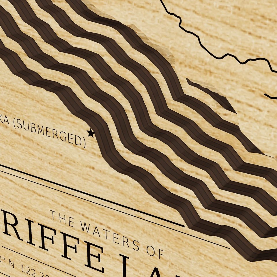 Riffe Lake 3D wood map, detail view