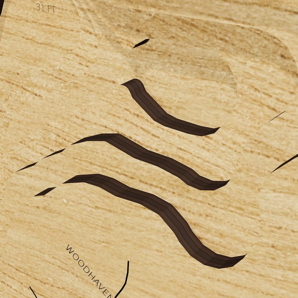 Riss Lake 3D wood map, detail view