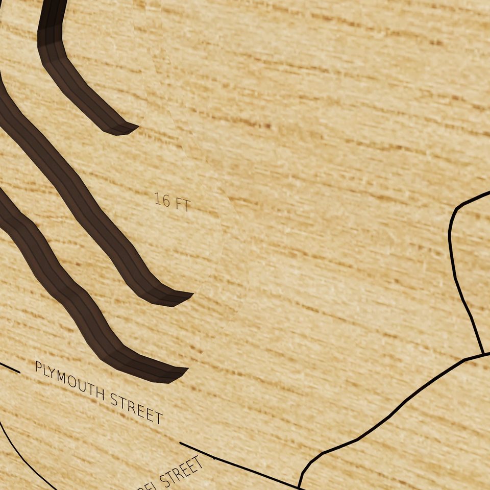 Robbins Pond 3D wood map, detail view