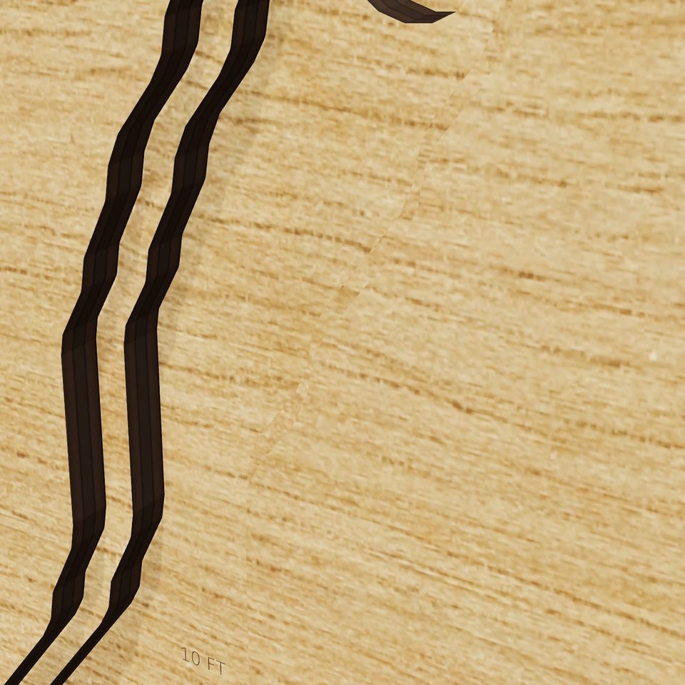 Rockwood Lake 3D wood map, detail view