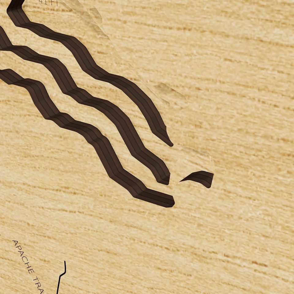 Roosevelt Lake 3D wood map, detail view