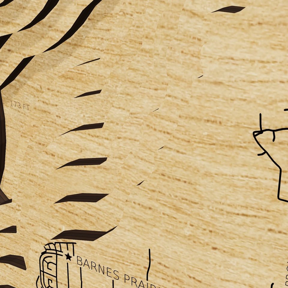 Ross R Barnett Reservoir 3D wood map, detail view
