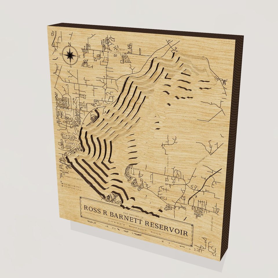 Ross R Barnett Reservoir 3D wood map, hero view