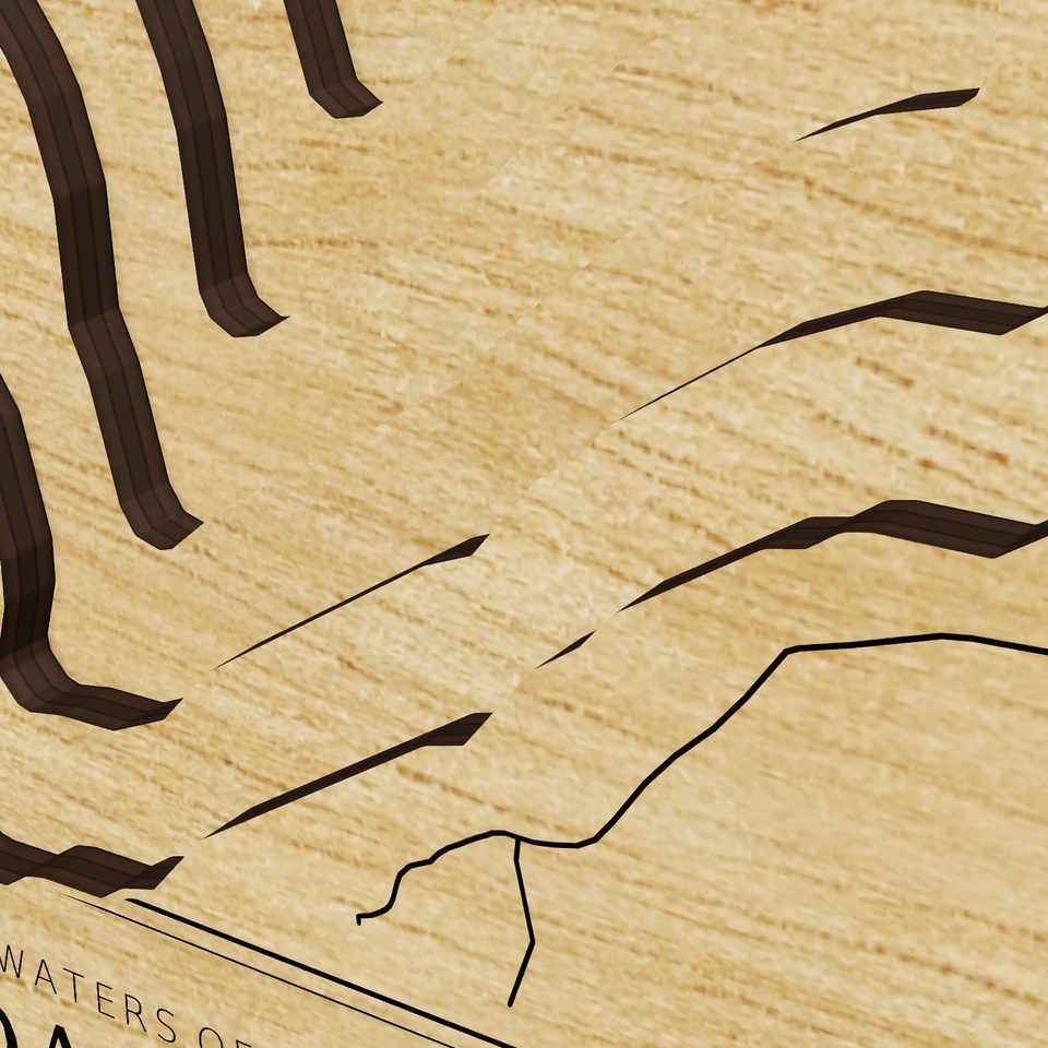 Sacandaga Lake 3D wood map, detail view