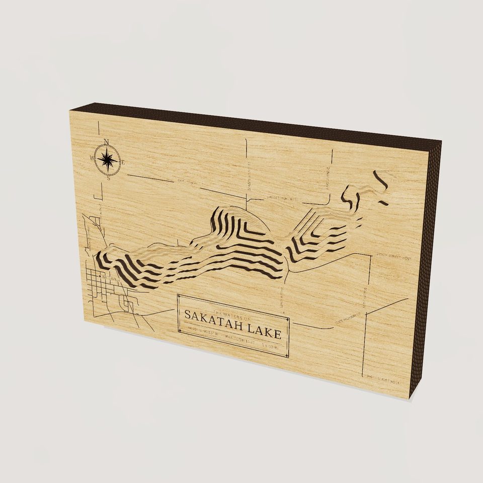 Sakatah Lake 3D wood map, hero view