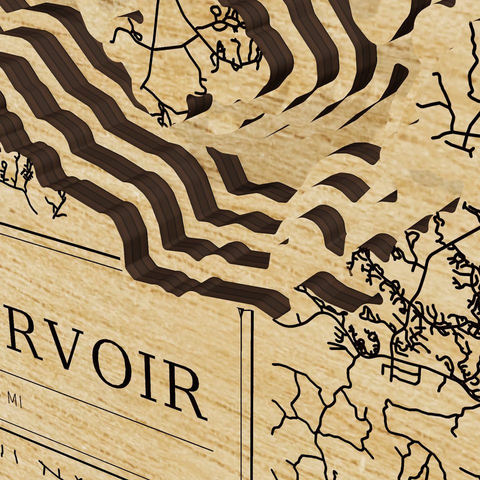 Sam Rayburn Reservoir 3D wood map, detail view