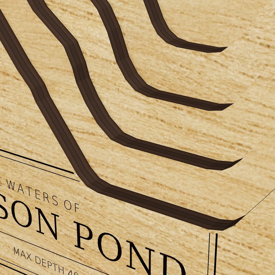 Sampson Pond 3D wood map, detail view