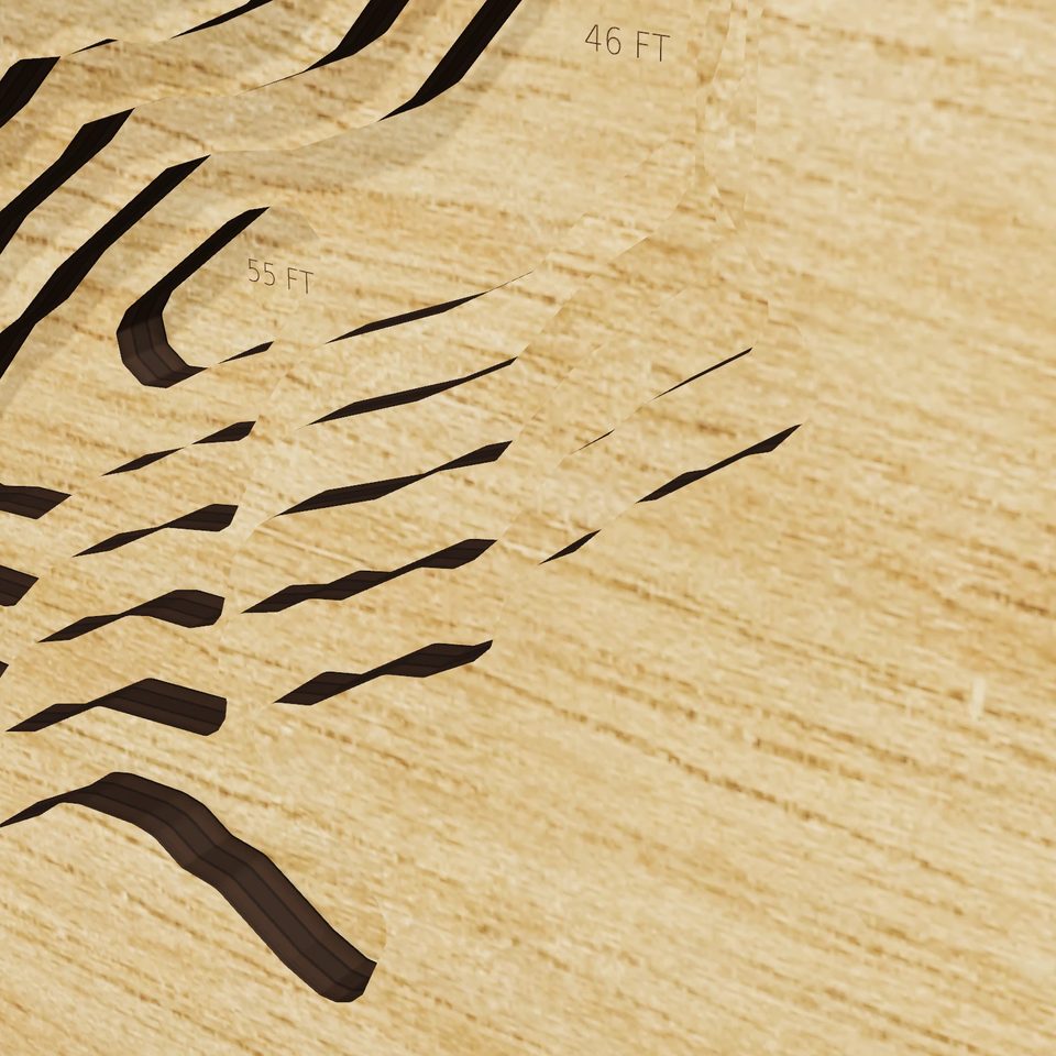 San Antonio Reservoir 3D wood map, detail view