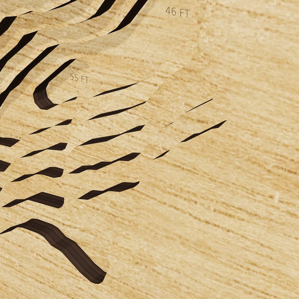San Antonio Reservoir 3D wood map, detail view