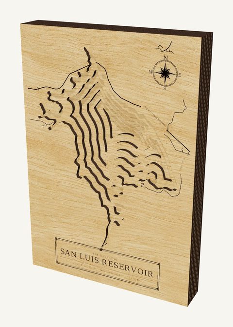 San Luis Reservoir wood map