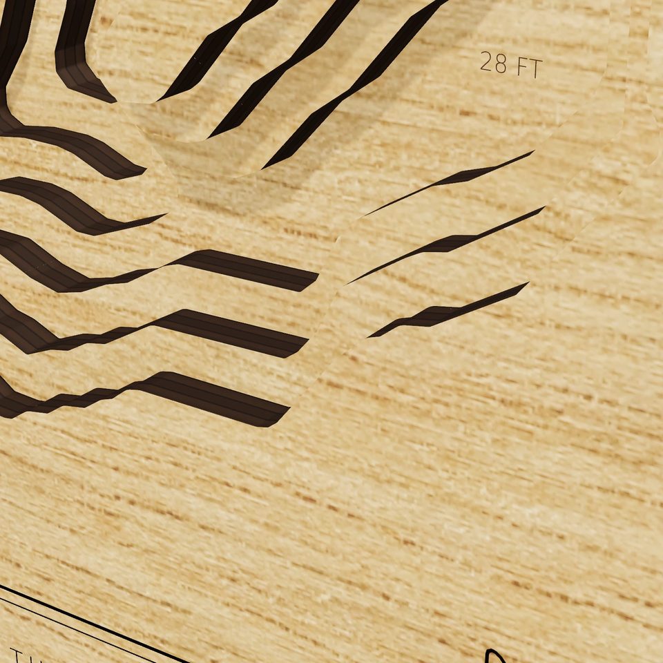 San Vicente Reservoir 3D wood map, detail view
