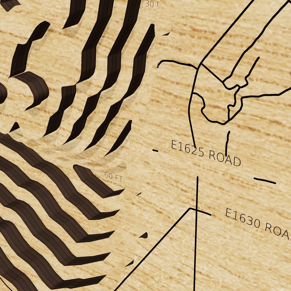 Sardis Lake 3D wood map, detail view