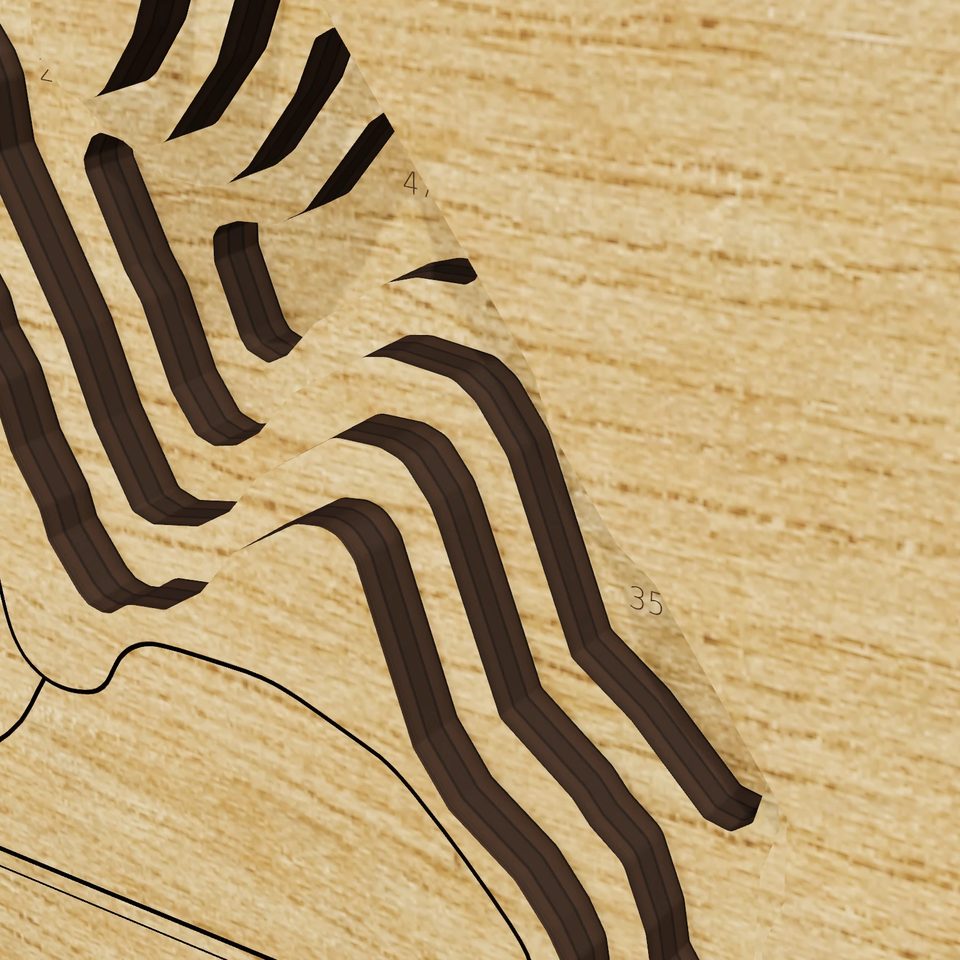 Saugatuck Reservoir 3D wood map, detail view