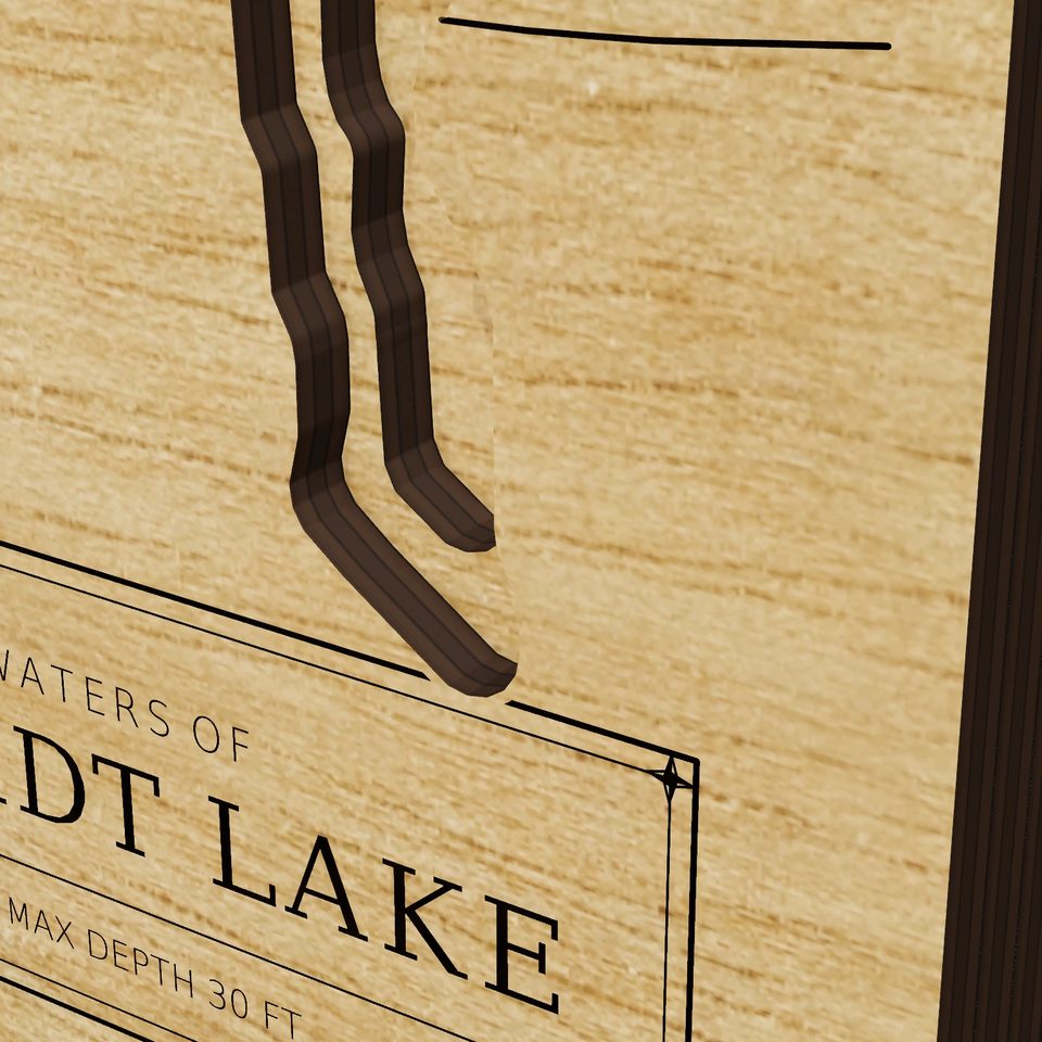 Schmidt Lake 3D wood map, detail view