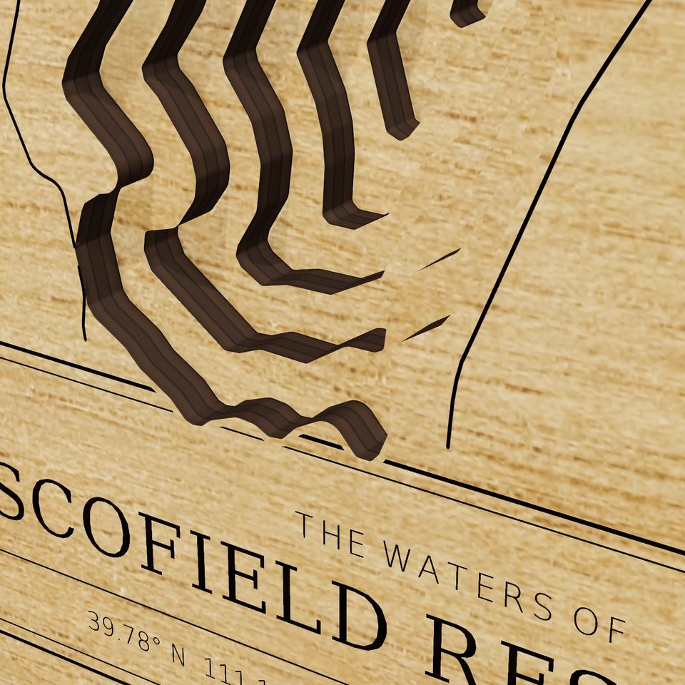 Scofield Reservoir 3D wood map, detail view