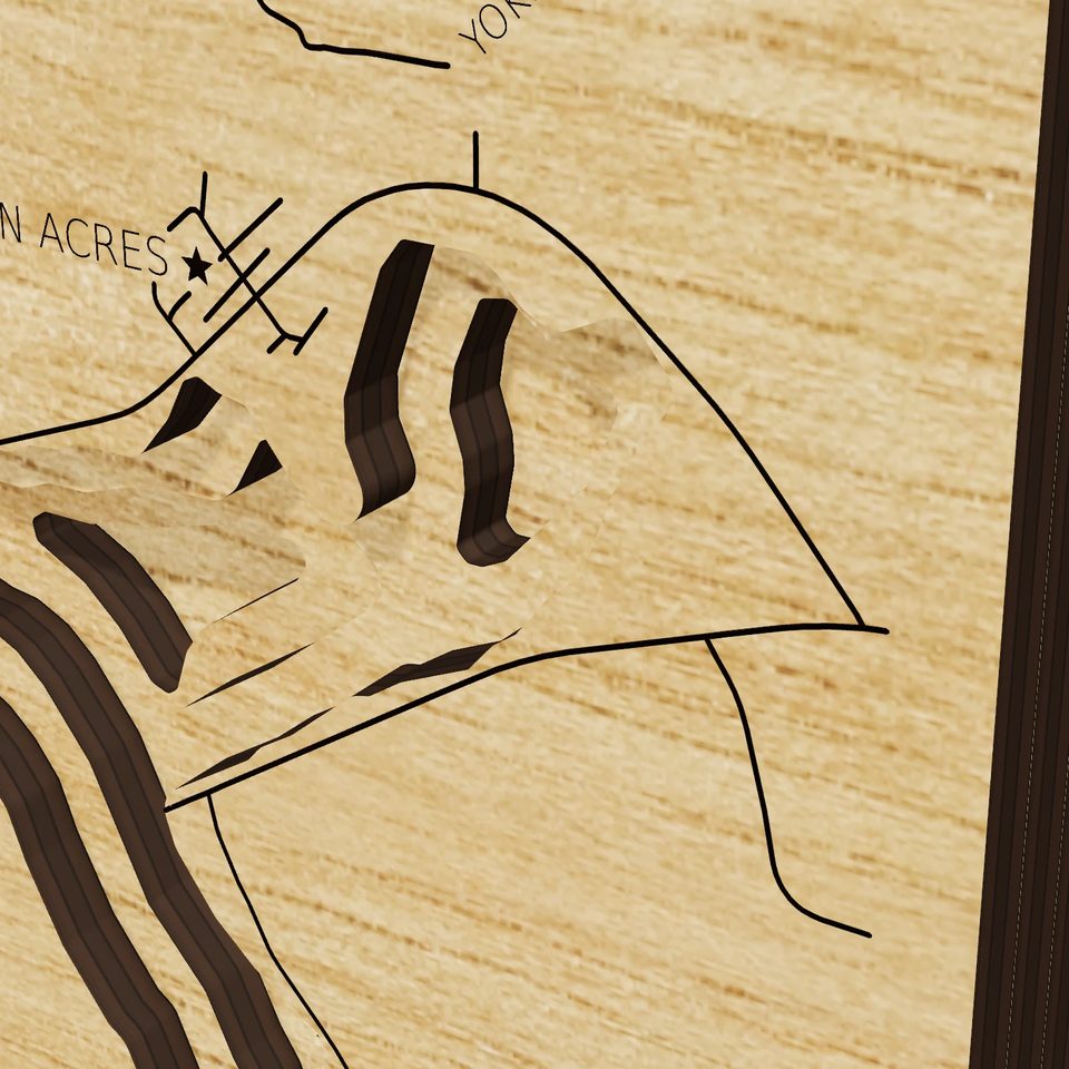 Senecaville Lake 3D wood map, detail view