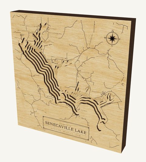 Senecaville Lake wood map