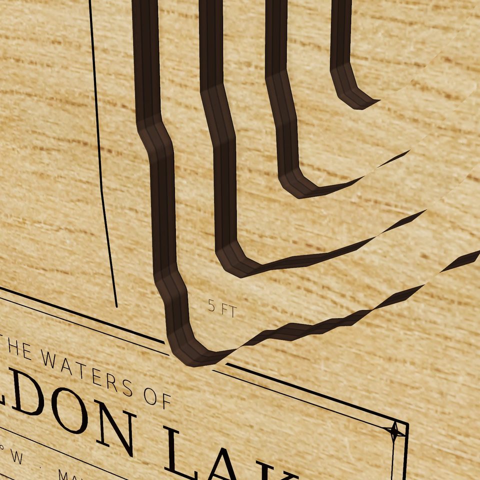 Sheldon Lake 3D wood map, detail view