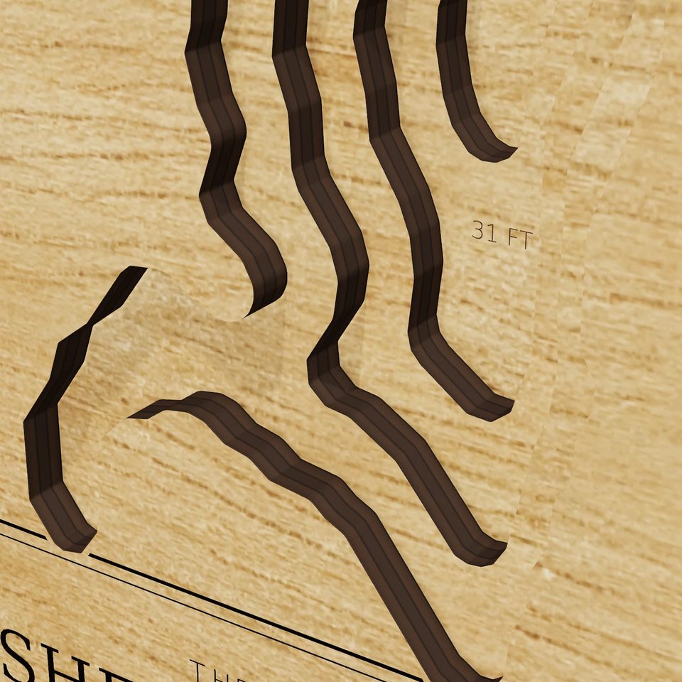 Shenipsit Lake 3D wood map, detail view