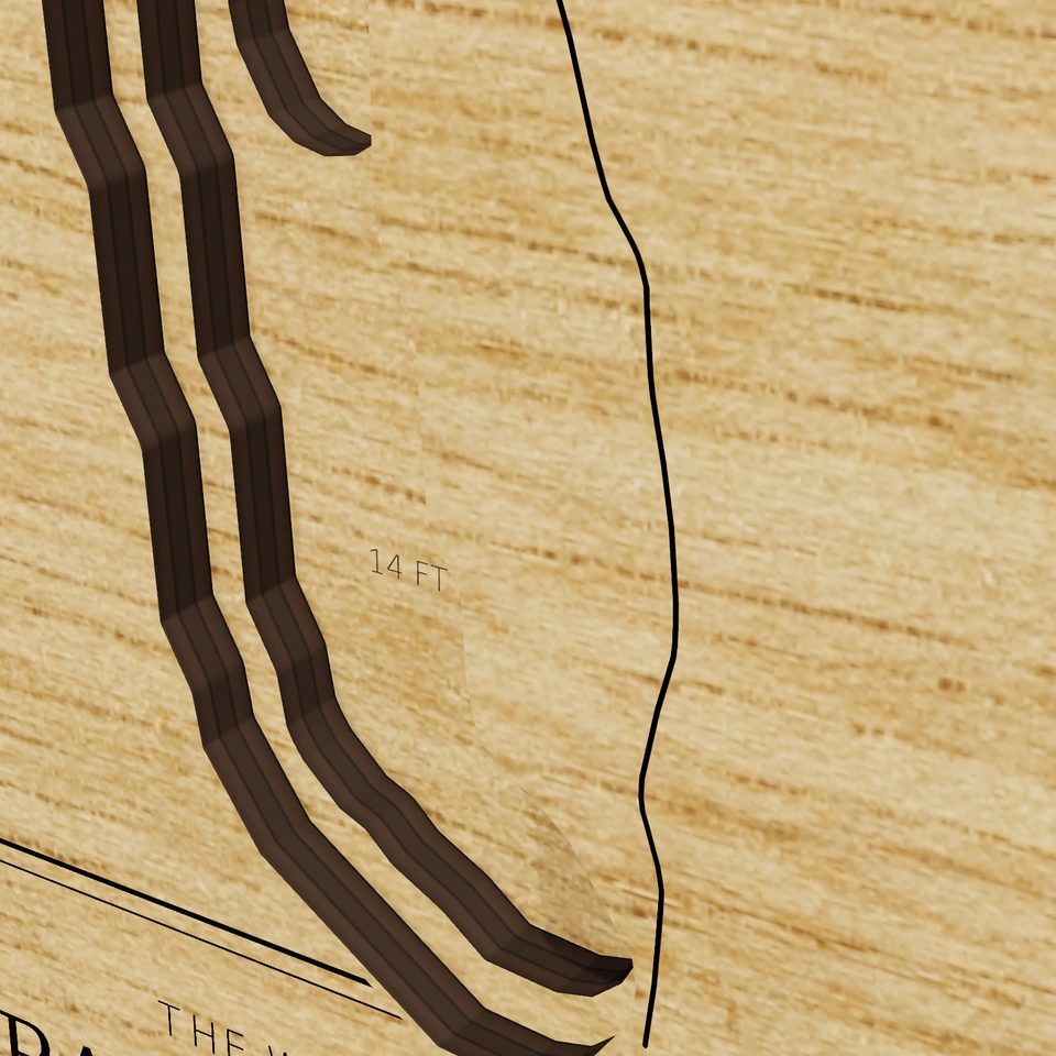 Shepaug Reservoir 3D wood map, detail view