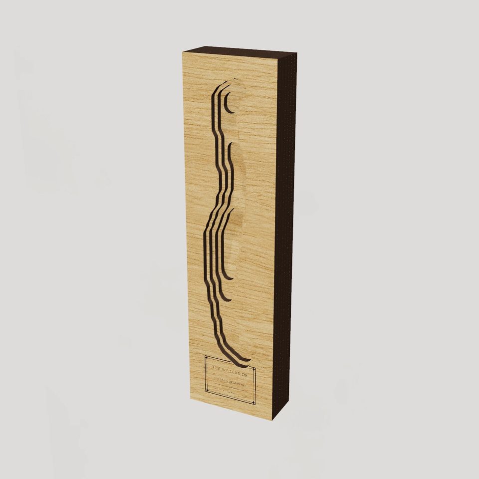 Shepaug Reservoir 3D wood map, hero view