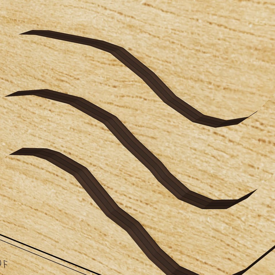 Shepherd Lake 3D wood map, detail view