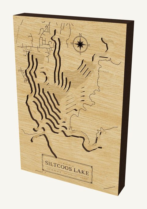 Siltcoos Lake wood map