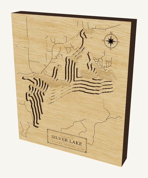 Silver Lake wood map