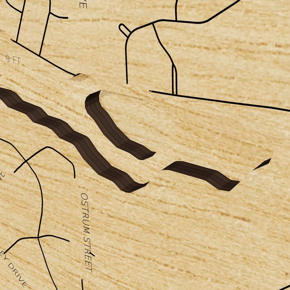 Silver Lake 3D wood map, detail view