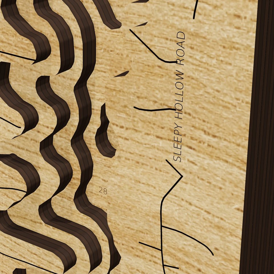 Sleepy Hollow Lake 3D wood map, detail view