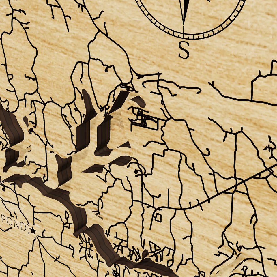 Smith Lake 3D wood map, detail view