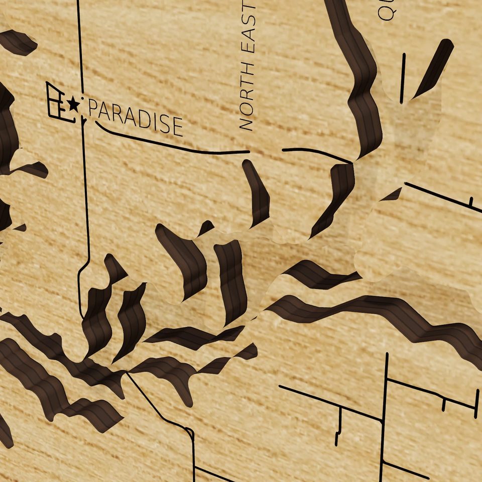 Smithville Lake 3D wood map, detail view