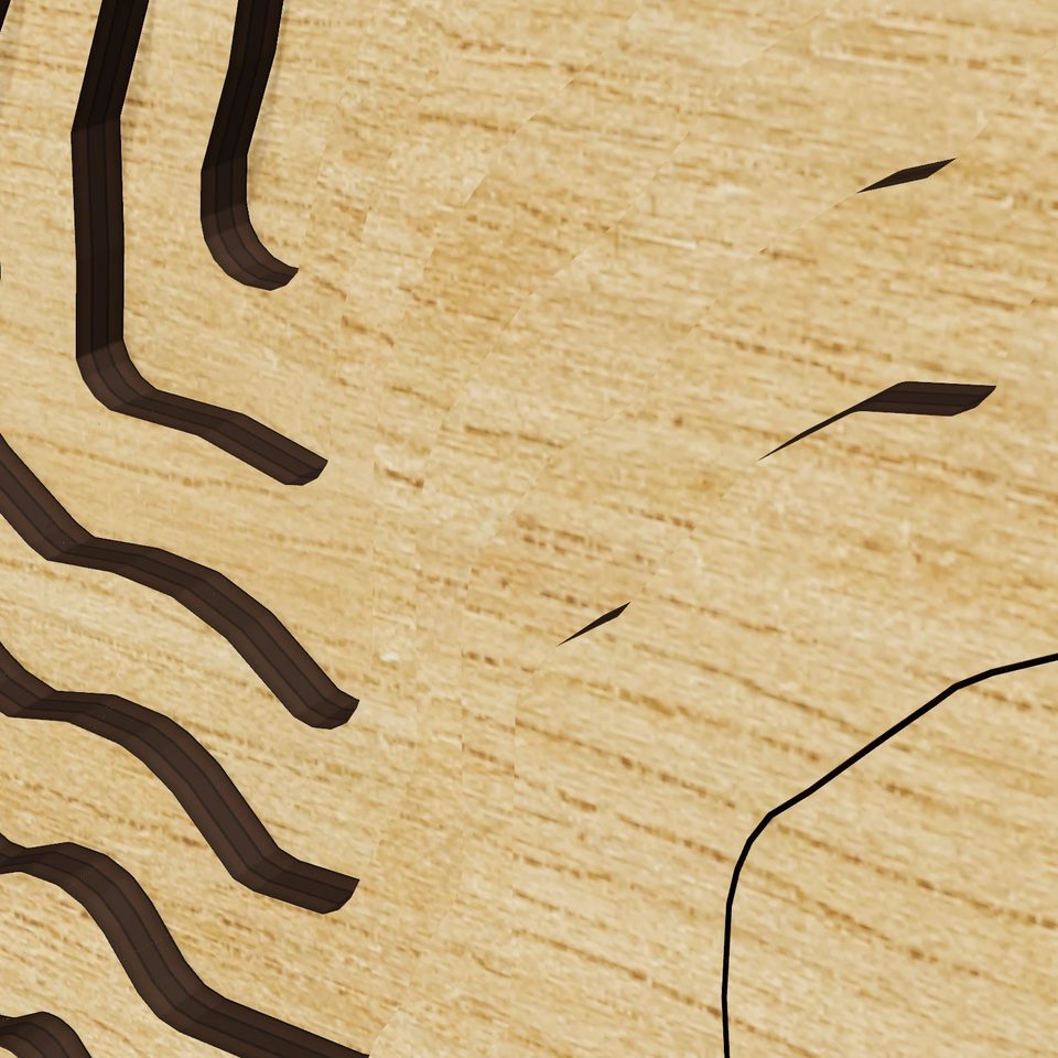 Spofford Lake 3D wood map, detail view