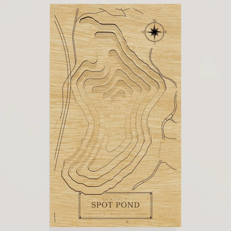 Spot Pond 3D wood map, front view