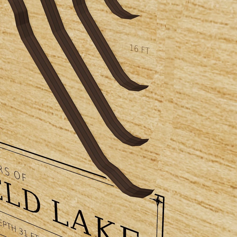 Springfield Lake 3D wood map, detail view