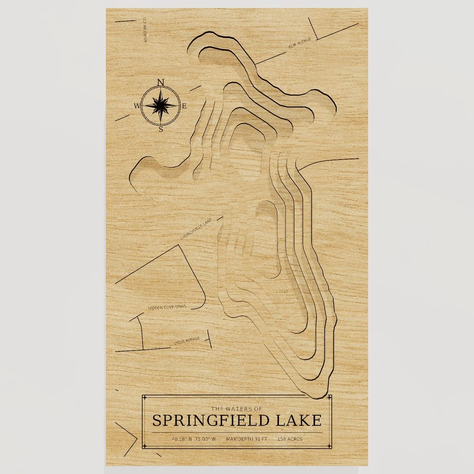 Springfield Lake 3D wood map, front view