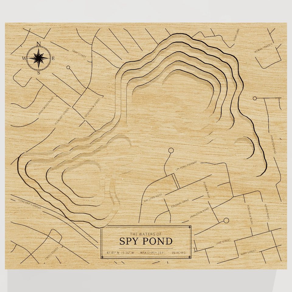 Spy Pond 3D wood map, front view