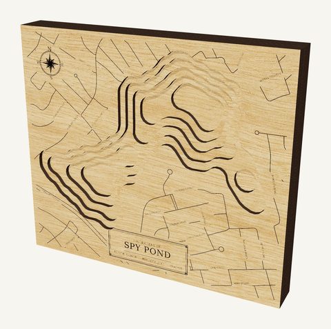 Spy Pond wood map